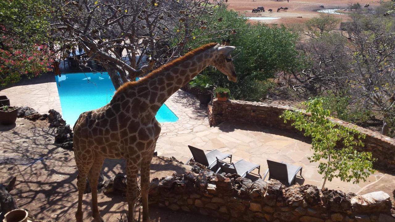 Okutala Etosha Lodge Outjo Luaran gambar