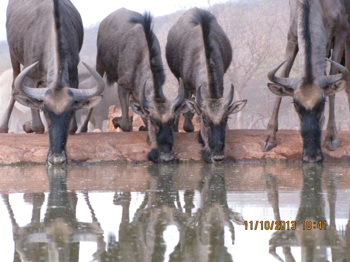 Okutala Etosha Lodge Outjo Luaran gambar