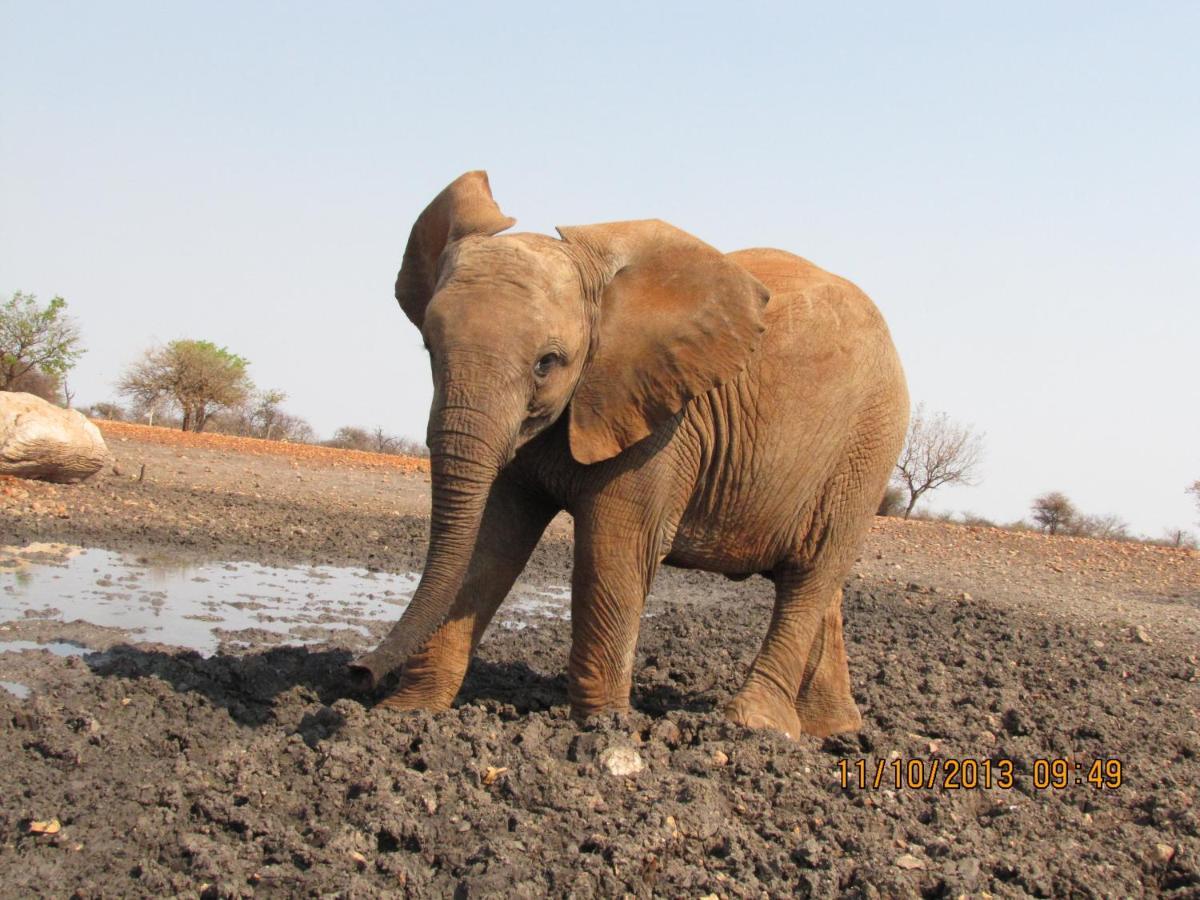 Okutala Etosha Lodge Outjo Luaran gambar