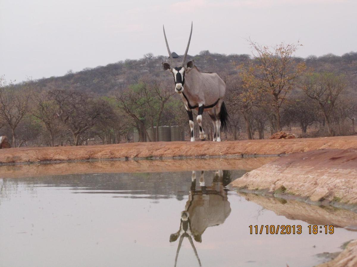 Okutala Etosha Lodge Outjo Luaran gambar